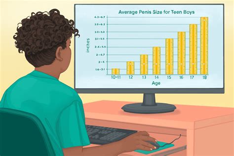 Average Penis Size and Development During Puberty .